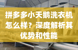 拼多多小天鵝洗衣機怎么樣？深度解析其優(yōu)勢和性能