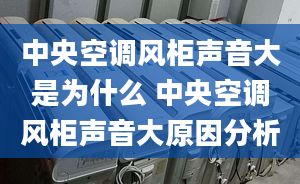 中央空調(diào)風柜聲音大是為什么 中央空調(diào)風柜聲音大原因分析