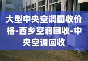 大型中央空調(diào)回收價格-西鄉(xiāng)空調(diào)回收-中央空調(diào)回收