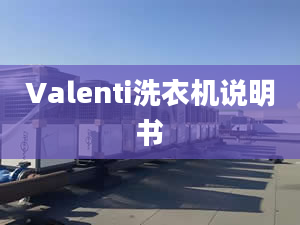 Valenti洗衣機(jī)說明書