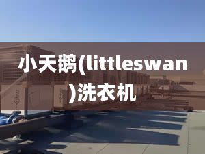 小天鵝(littleswan)洗衣機(jī)