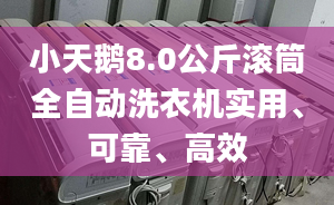 小天鵝8.0公斤滾筒全自動(dòng)洗衣機(jī)實(shí)用、可靠、高效