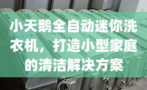 小天鵝全自動(dòng)迷你洗衣機(jī)，打造小型家庭的清潔解決方案