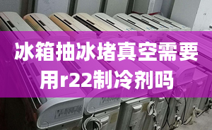 冰箱抽冰堵真空需要用r22制冷劑嗎