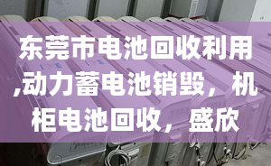 東莞市電池回收利用,動力蓄電池銷毀，機柜電池回收，盛欣