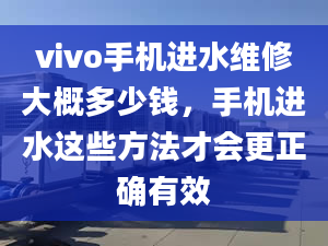 vivo手機(jī)進(jìn)水維修大概多少錢，手機(jī)進(jìn)水這些方法才會(huì)更正確有效