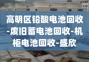 高明區(qū)鉛酸電池回收-廢舊蓄電池回收-機(jī)柜電池回收-盛欣