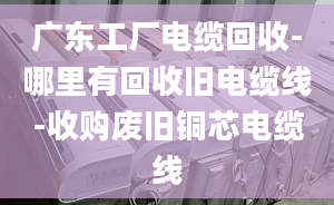 廣東工廠電纜回收-哪里有回收舊電纜線-收購廢舊銅芯電纜線