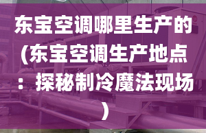 東寶空調(diào)哪里生產(chǎn)的(東寶空調(diào)生產(chǎn)地點(diǎn)：探秘制冷魔法現(xiàn)場）