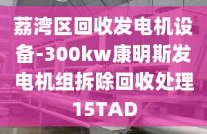 荔灣區(qū)回收發(fā)電機(jī)設(shè)備-300kw康明斯發(fā)電機(jī)組拆除回收處理15TAD