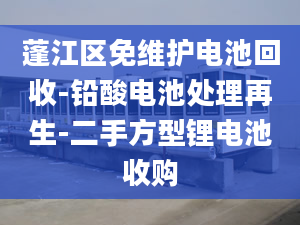 蓬江區(qū)免維護(hù)電池回收-鉛酸電池處理再生-二手方型鋰電池收購(gòu)