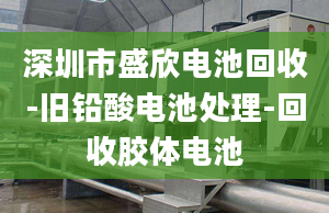 深圳市盛欣電池回收-舊鉛酸電池處理-回收膠體電池