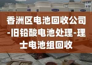 香洲區(qū)電池回收公司-舊鉛酸電池處理-理士電池組回收