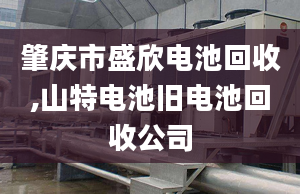 肇慶市盛欣電池回收,山特電池舊電池回收公司