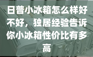 日普小冰箱怎么樣好不好，獨居經(jīng)驗告訴你小冰箱性價比有多高