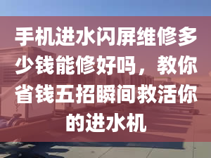 手機進水閃屏維修多少錢能修好嗎，教你省錢五招瞬間救活你的進水機