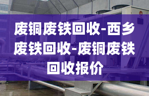 廢銅廢鐵回收-西鄉(xiāng)廢鐵回收-廢銅廢鐵回收?qǐng)?bào)價(jià)