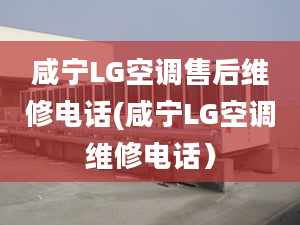 咸寧LG空調售后維修電話(咸寧LG空調維修電話）