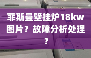 菲斯曼壁掛爐18kw圖片？故障分析處理？