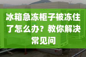 冰箱急凍柜子被凍住了怎么辦？教你解決常見問