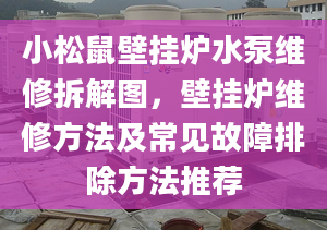 小松鼠壁掛爐水泵維修拆解圖，壁掛爐維修方法及常見故障排除方法推薦