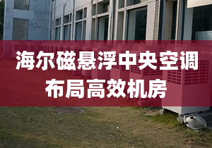 海爾磁懸浮中央空調布局高效機房