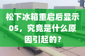 松下冰箱重啟后顯示05，究竟是什么原因引起的？