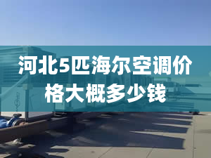 河北5匹海爾空調(diào)價格大概多少錢