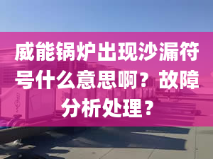 威能鍋爐出現(xiàn)沙漏符號什么意思??？故障分析處理？