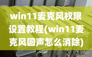 win11麥克風(fēng)權(quán)限設(shè)置教程(win11麥克風(fēng)回聲怎么消除)