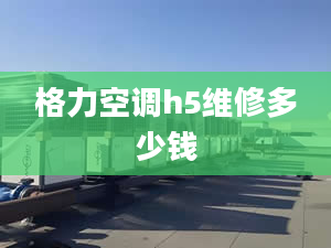 格力空調(diào)h5維修多少錢