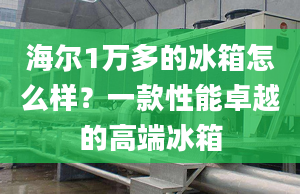 海爾1萬多的冰箱怎么樣？一款性能卓越的高端冰箱