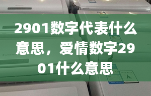 2901數(shù)字代表什么意思，愛情數(shù)字2901什么意思