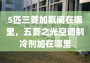 5匹三菱加氟閥在哪里，五菱之光空調(diào)制冷劑加在哪里