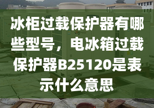 冰柜過載保護(hù)器有哪些型號(hào)，電冰箱過載保護(hù)器B25120是表示什么意思