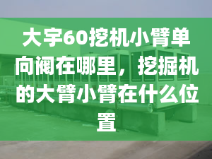 大宇60挖機(jī)小臂單向閥在哪里，挖掘機(jī)的大臂小臂在什么位置