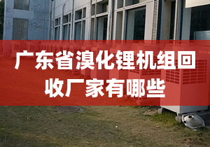 廣東省溴化鋰機(jī)組回收廠家有哪些