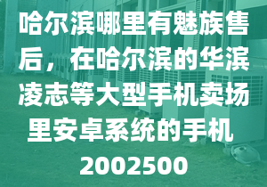 哈爾濱哪里有魅族售后，在哈爾濱的華濱凌志等大型手機賣場里安卓系統(tǒng)的手機 2002500