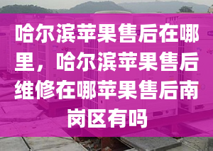 哈爾濱蘋果售后在哪里，哈爾濱蘋果售后維修在哪蘋果售后南崗區(qū)有嗎