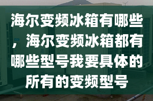 海爾變頻冰箱有哪些，海爾變頻冰箱都有哪些型號(hào)我要具體的所有的變頻型號(hào)