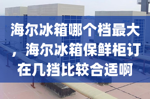 海爾冰箱哪個(gè)檔最大，海爾冰箱保鮮柜訂在幾擋比較合適啊