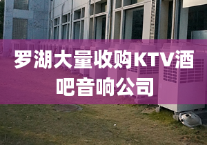 羅湖大量收購KTV酒吧音響公司