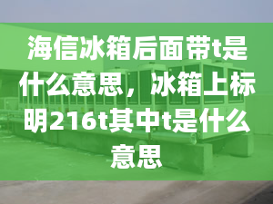 海信冰箱后面帶t是什么意思，冰箱上標明216t其中t是什么意思