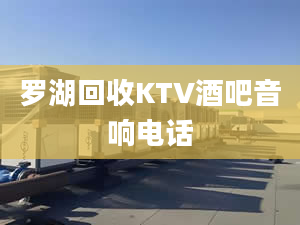 羅湖回收KTV酒吧音響電話