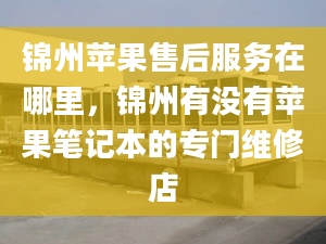 錦州蘋果售后服務(wù)在哪里，錦州有沒有蘋果筆記本的專門維修店