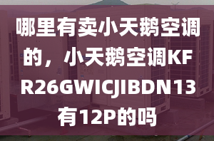 哪里有賣小天鵝空調(diào)的，小天鵝空調(diào)KFR26GWICJIBDN13有12P的嗎