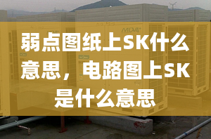 弱點圖紙上SK什么意思，電路圖上SK是什么意思