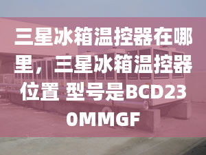 三星冰箱溫控器在哪里，三星冰箱溫控器位置 型號是BCD230MMGF