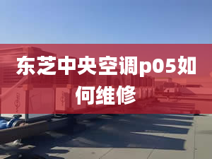 東芝中央空調(diào)p05如何維修