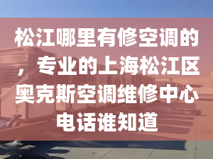 松江哪里有修空調(diào)的，專業(yè)的上海松江區(qū)奧克斯空調(diào)維修中心電話誰知道